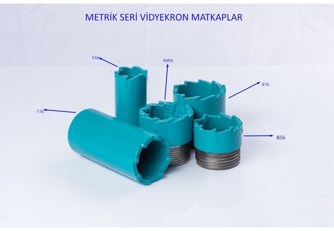 Vidye Grubu